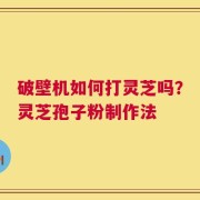 破壁机如何打灵芝吗？灵芝孢子粉制作法