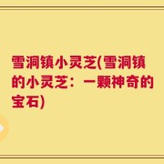 雪洞镇小灵芝(雪洞镇的小灵芝：一颗神奇的宝石)