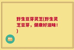 野生豆芽灵芝(野生灵芝豆芽，健康好滋味！)
