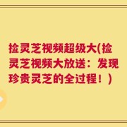 捡灵芝视频超级大(捡灵芝视频大放送：发现珍贵灵芝的全过程！)