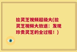 捡灵芝视频超级大(捡灵芝视频大放送：发现珍贵灵芝的全过程！)