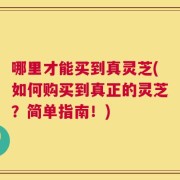 哪里才能买到真灵芝(如何购买到真正的灵芝？简单指南！)