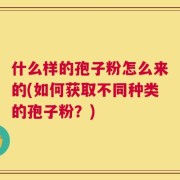 什么样的孢子粉怎么来的(如何获取不同种类的孢子粉？)