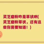 灵芝磨粉咋是草状啊(灵芝磨粉草状，还有这些你需要知道！)