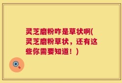 灵芝磨粉咋是草状啊(灵芝磨粉草状，还有这些你需要知道！)