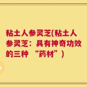 粘土人参灵芝(粘土人参灵芝：具有神奇功效的三种 “药材”)