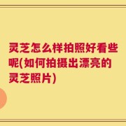 灵芝怎么样拍照好看些呢(如何拍摄出漂亮的灵芝照片)