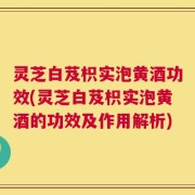 灵芝白芨枳实泡黄酒功效(灵芝白芨枳实泡黄酒的功效及作用解析)