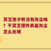 灵芝孢子粉没有灰尘味？干灵芝摆件表面灰尘怎么处理