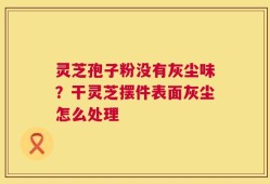 灵芝孢子粉没有灰尘味？干灵芝摆件表面灰尘怎么处理