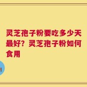 灵芝孢子粉要吃多少天最好？灵芝孢子粉如何食用