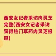 西安女记者采访肉灵芝完整(西安女记者采访获得热门草药肉灵芝报道)