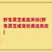 野生灵芝卖出天价(野生灵芝成交价高达天价)