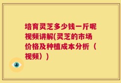 培育灵芝多少钱一斤呢视频讲解(灵芝的市场价格及种植成本分析（视频）)