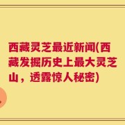西藏灵芝最近新闻(西藏发掘历史上最大灵芝山，透露惊人秘密)