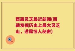 西藏灵芝最近新闻(西藏发掘历史上最大灵芝山，透露惊人秘密)
