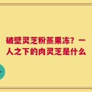 破壁灵芝粉蒸果冻？一人之下的肉灵芝是什么