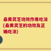 桑黄灵芝功效作用吃法(桑黄灵芝的功效及正确吃法)