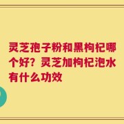 灵芝孢子粉和黑枸杞哪个好？灵芝加枸杞泡水有什么功效