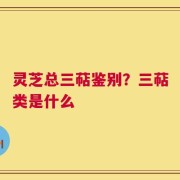 灵芝总三萜鉴别？三萜类是什么
