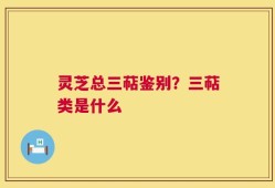 灵芝总三萜鉴别？三萜类是什么