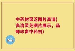 中药材灵芝图片高清(高清灵芝图片展示，品味珍贵中药材)