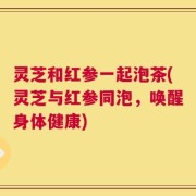 灵芝和红参一起泡茶(灵芝与红参同泡，唤醒身体健康)