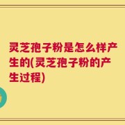 灵芝孢子粉是怎么样产生的(灵芝孢子粉的产生过程)