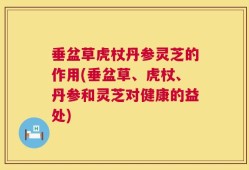 垂盆草虎杖丹参灵芝的作用(垂盆草、虎杖、丹参和灵芝对健康的益处)
