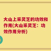 大山上采灵芝的功效和作用(大山采灵芝：功效作用分析)