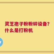 灵芝孢子粉粉碎设备？什么是打粉机