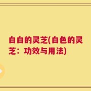 白白的灵芝(白色的灵芝：功效与用法)
