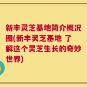 新丰灵芝基地简介概况图(新丰灵芝基地 了解这个灵芝生长的奇妙世界)