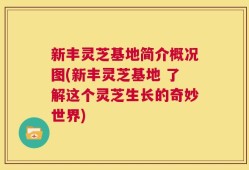 新丰灵芝基地简介概况图(新丰灵芝基地 了解这个灵芝生长的奇妙世界)