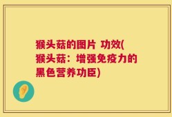 猴头菇的图片 功效(猴头菇：增强免疫力的黑色营养功臣)