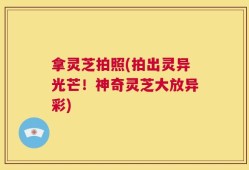 拿灵芝拍照(拍出灵异光芒！神奇灵芝大放异彩)