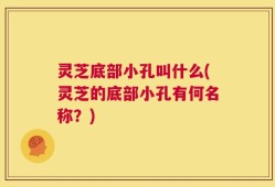 灵芝底部小孔叫什么(灵芝的底部小孔有何名称？)