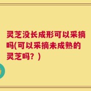 灵芝没长成形可以采摘吗(可以采摘未成熟的灵芝吗？)