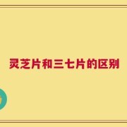 灵芝片和三七片的区别