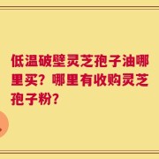 低温破壁灵芝孢子油哪里买？哪里有收购灵芝孢子粉？