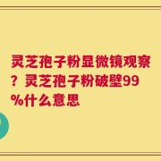 灵芝孢子粉显微镜观察？灵芝孢子粉破壁99%什么意思