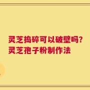 灵芝捣碎可以破壁吗？灵芝孢子粉制作法