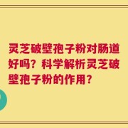 灵芝破壁孢子粉对肠道好吗？科学解析灵芝破壁孢子粉的作用？