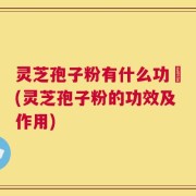 灵芝孢子粉有什么功効(灵芝孢子粉的功效及作用)