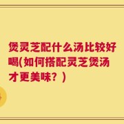 煲灵芝配什么汤比较好喝(如何搭配灵芝煲汤才更美味？)