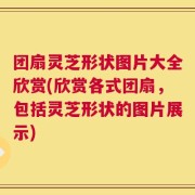 团扇灵芝形状图片大全欣赏(欣赏各式团扇，包括灵芝形状的图片展示)