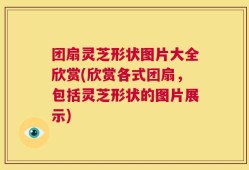 团扇灵芝形状图片大全欣赏(欣赏各式团扇，包括灵芝形状的图片展示)