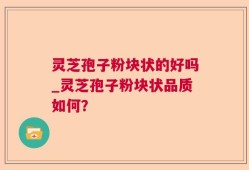 灵芝孢子粉块状的好吗_灵芝孢子粉块状品质如何？