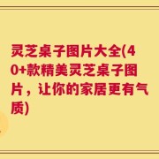 灵芝桌子图片大全(40+款精美灵芝桌子图片，让你的家居更有气质)