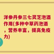 洋参丹参三七灵芝泡酒作用(多种中草药泡酒，营养丰富，提高免疫力)